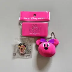 東京ディズニーリゾート クリップセット