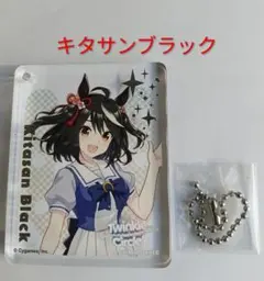 キタサンブラック　ウマ娘　　TwinkleCircle! コロッタ