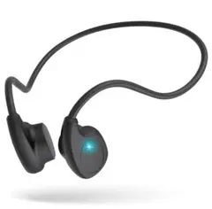 Item thumbnail for item 699d3fe6-e549-41d3-bd2c-ccefff4b59f5