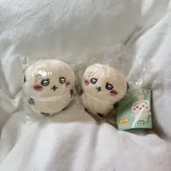 2026年最新】ラッコ ぬいぐるみ ちいかわの人気アイテム - メルカリ