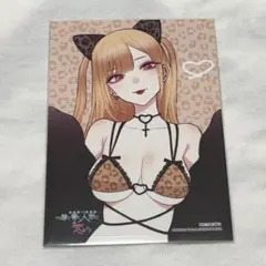 ゲーマーズ 特典 ブロマイド その着せ替え人形は恋をする 13巻 着せ恋