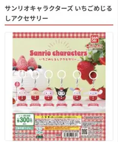 サンリオキャラクターズ いちごめじるしアクセサリー コンプリート