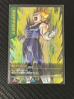 ドラゴンボールZⅠデータカードダス 激レア 破壊王子ベジータ（118-I