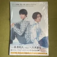 美しい彼 公式ビジュアルブック