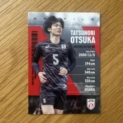 2025年 バレーボール男子日本代表 応援Tシャツ 大塚達宣 XL 2025年 バレーボール男子日本代表 応援Tシャツ 大塚達宣 XL