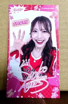honeys ハニーズ タカコレ くじ チェキ 風 ステッカー shoko チア