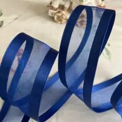 ブルーオーガンジー　サイドはサテン風