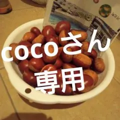 cocoさん専用