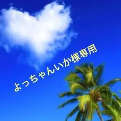 よっちゃんいか様　専用