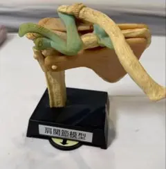 Item thumbnail for item eb421bf2-1fef-4a0a-8a76-af50c8b1e4b0