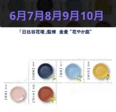 SUNTORY 金麦　花やか皿　6月7月8月9月10月