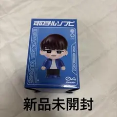 SnowMan 渡辺翔太　すのチル　ソフビ　新品未開封