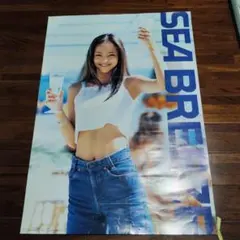 安室奈美恵ポスター18歳くらいの頃 - メルカリ