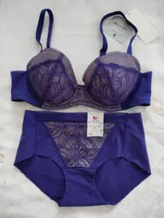 C75 ワコール　シアーブラー Sheer Braブラショーツ セット