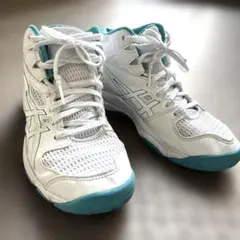 Item thumbnail for item ea1f4690-2084-4f50-958d-d8bed0dbc487