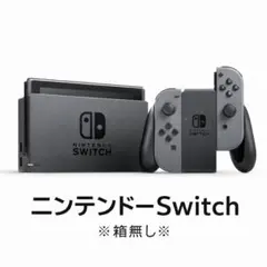 Nintendo Switch グレー 本体 ACアダプター付き