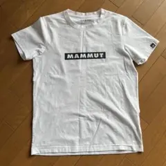 Item thumbnail for item 30dde517-c113-49bf-8b67-e54a7a0e1053