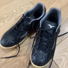 傷あり　美品　Mizuno モナルシーダ　ネオ　フットサルシューズ 25センチ