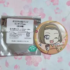 名探偵コナン コナンランド 鈴木園子 缶バッジ ミニキャラ