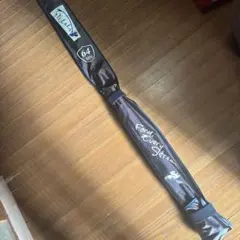 Item thumbnail for item ef3ab7bb-aacb-44f2-888a-2068de2ce7d4