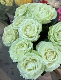 静かな森の切花セット バラ アルストロメリア 生花 ネコポス - メルカリ