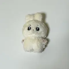 ドギョム セブチ seventeen ドドリ ぬいぐるみ DK