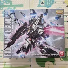 MG プロヴィデンスガンダム プレミアムエディション 初回限定　パッケージ版 MGプロヴィデンスガンダム G.U.N.D.A.M. プレミアムエディション