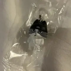 パーフェクトピギー めじるしアクセサリー ガウくん
