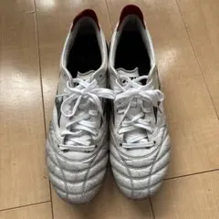 2025年最新】モレリア 27.5の人気アイテム - メルカリ