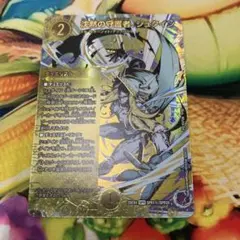 沈黙の守護者、シュタイン　シークレット