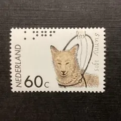 Item thumbnail for item a30ed20c-2a13-4861-85cc-cd5dd79d6ea0