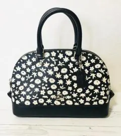 2wayショルダーバッグ｜⭐︎値下げしました⭐︎｜COACH 入学式にも◎