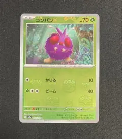 コンパン マスボ