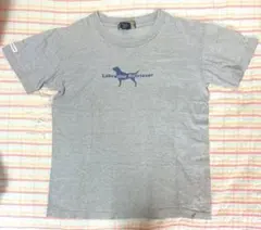 Labrador Retriever ラブラドールレトリバー 半袖Tシャツ Sのサムネイル