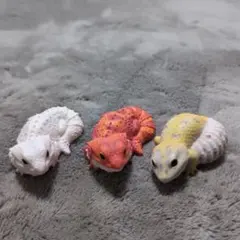 Item thumbnail for item bc58b830-2990-4379-af3c-3a35a43baf44