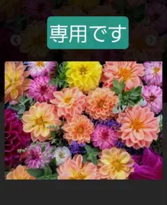 専用です