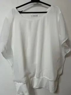 Item thumbnail for item a26cc868-4f1d-4474-95ed-e321f146ed35