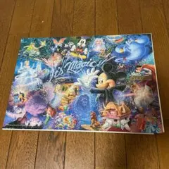 ◼️ディズニー ジグソーパズル ◼️完成品◼️箱なし 額なし