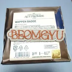 TXT　PROMISE　ボムギュ