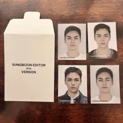 成分エディター　バーノン　証明写真