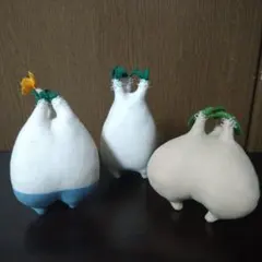 ▲Zooo Plants 塊根まん3点セットのサムネイル