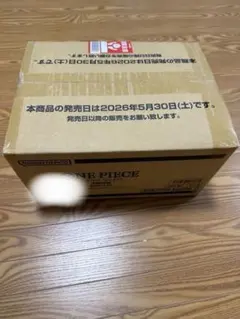 ワンピースカード「決戦の刻」1カートン（12BOX）【未開封】 - メルカリ
