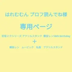 はれむむん様 専用ページ