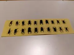 クワガタ・カブトムシ シルエットステッカー20種類（ 携帯用）