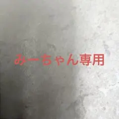 みーちゃん専用