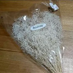 かすみ草ホワイト１袋