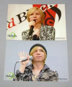 2026年最新】アシッドブラックチェリーポストカードの人気アイテム