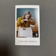 隣の席トレカ MORRIE BUDDiis