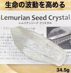 期間限定最終価格✨美希少✨AAAAレムリアンシードクリスタル 女神のレムリア神殿 女神の舞い 』レムリアン シード クォーツ ポイント (巨大