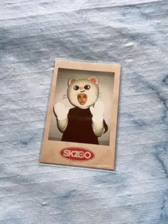 stray kids ヒョンジン　トレカ　ポラ　特典　ペンミ　skzoo